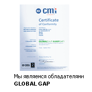 Global GAP